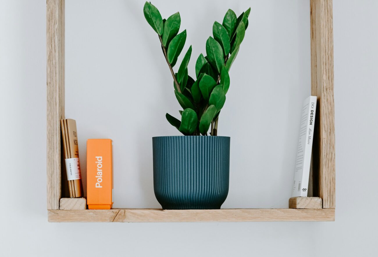 Uncomplicated and Together: A Simple Community of Jesus Followers. Photo by Nik on Unsplash.