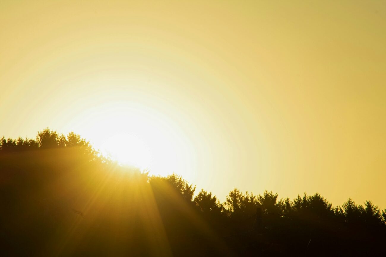 Photo by Raymond Eichelberger on Unsplash. When Easter Season Feels Like Too Much to Say Yes.